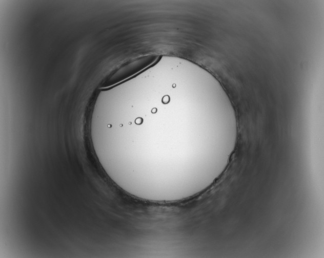 X0000089830242200707191831