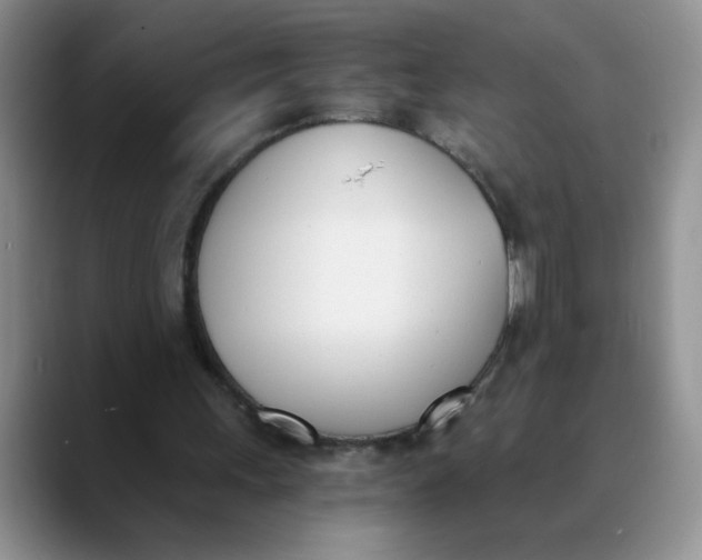 X0000089830243200707191831