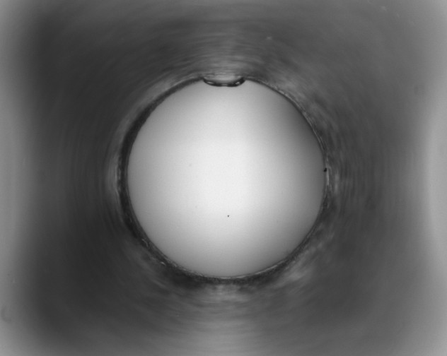 X0000089830244200707191831