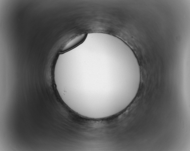 X0000089830245200707191831