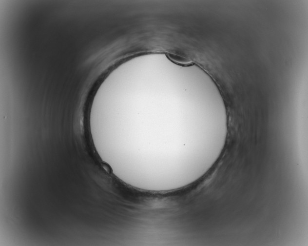 X0000089830246200707191831