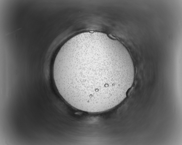 X0000089830247200707191831