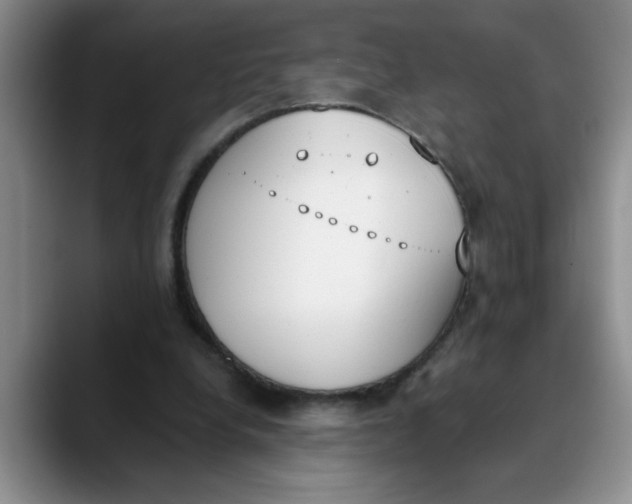 X0000089830248200707191831