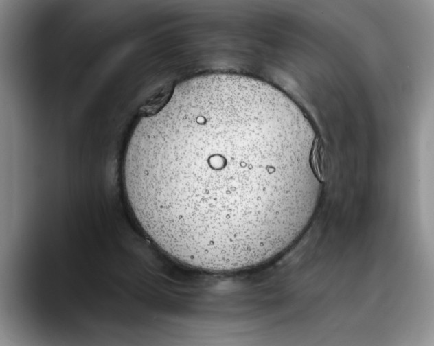 X0000089830249200707191831