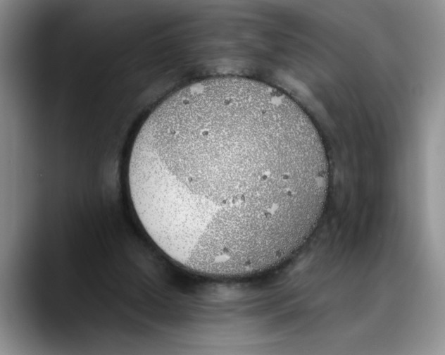 X0000089830250200707191831