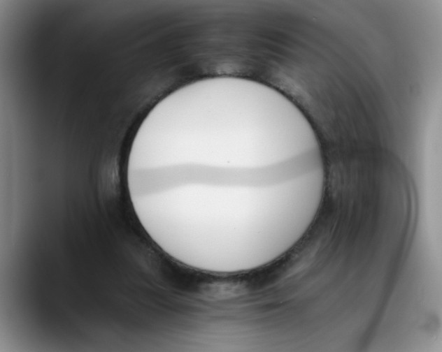 X0000089830251200707191831