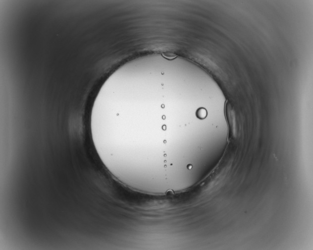 X0000089830252200707191831