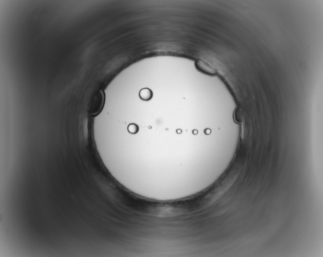 X0000089830253200707191831