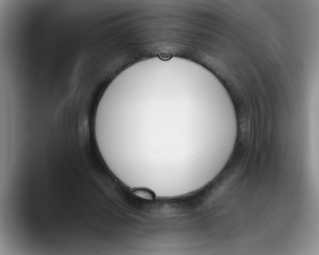 X0000089830254200707191831