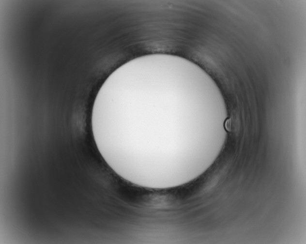 X0000089830255200707191831