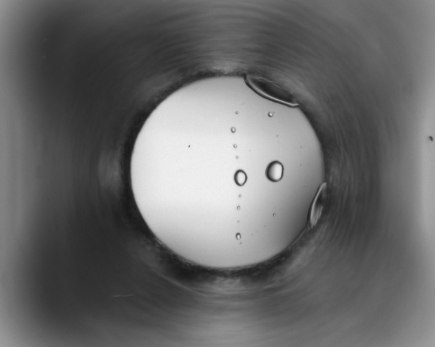 X0000089830256200707191831