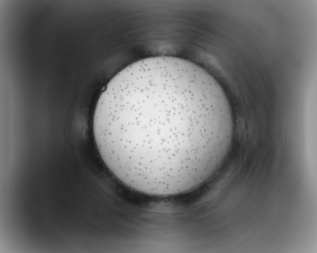 X0000089830259200707191831