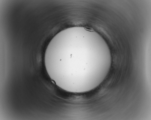 X0000089830260200707191831