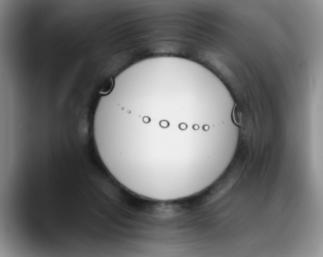 X0000089830261200707191831