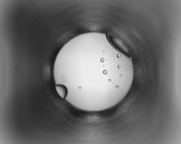 X0000089830262200707191831