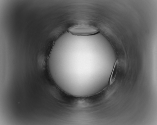 X0000089830264200707191831