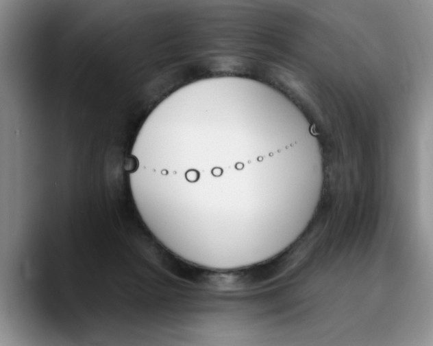 X0000089830265200707191831