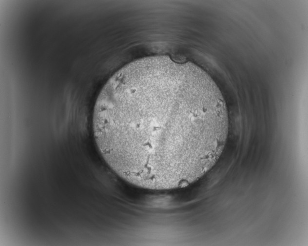 X0000089830266200707191831