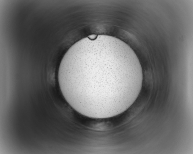 X0000089830267200707191831