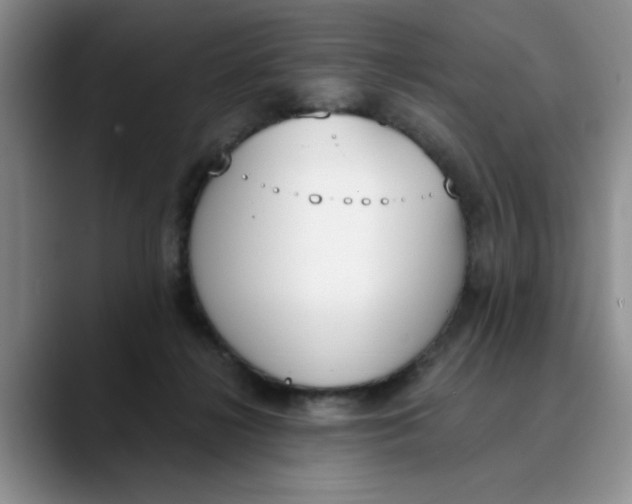 X0000089830268200707191831