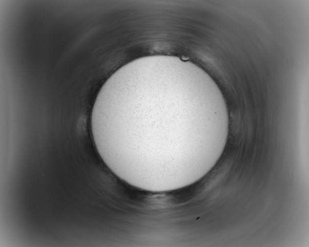 X0000089830269200707191831