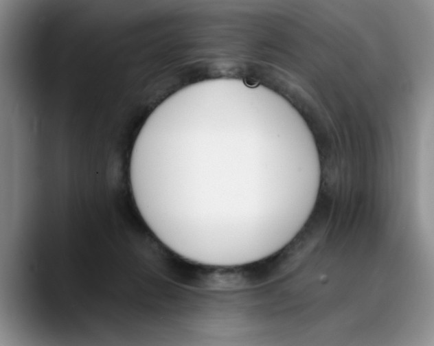 X0000089830270200707191831