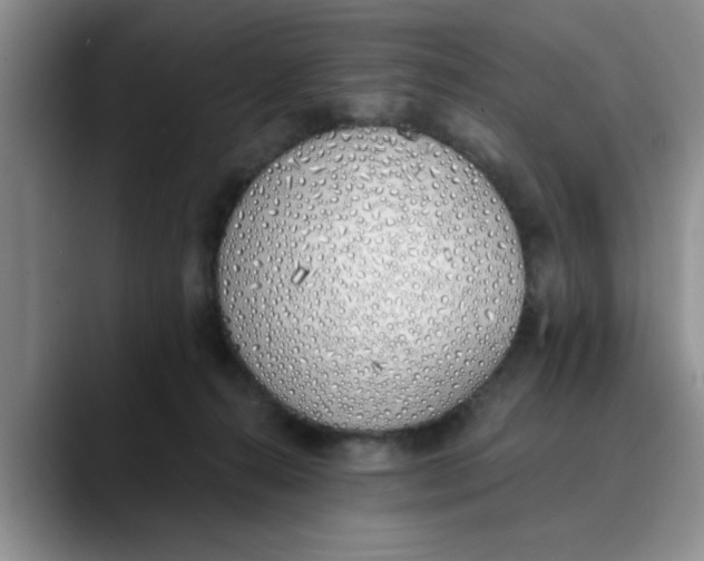 X0000089830272200707191831