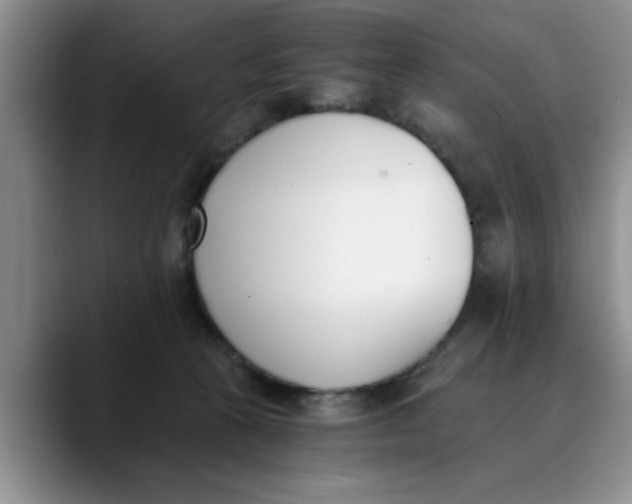 X0000089830273200707191831