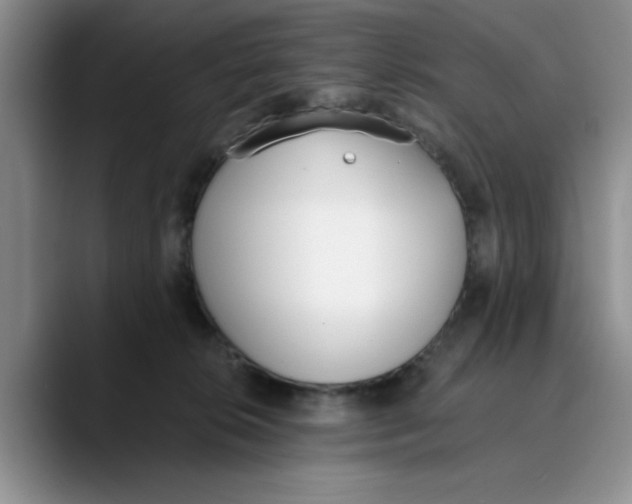 X0000089830276200707191831