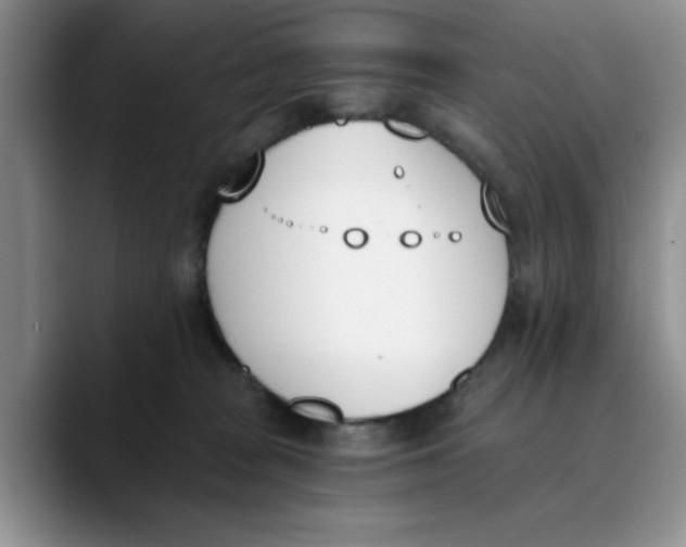 X0000089830277200707191831