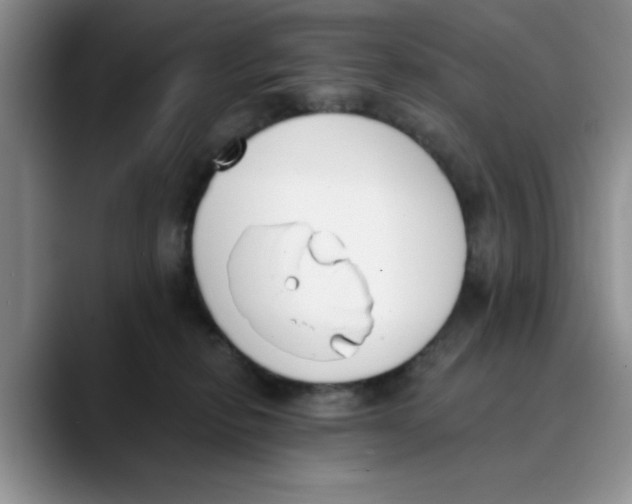 X0000089830278200707191831