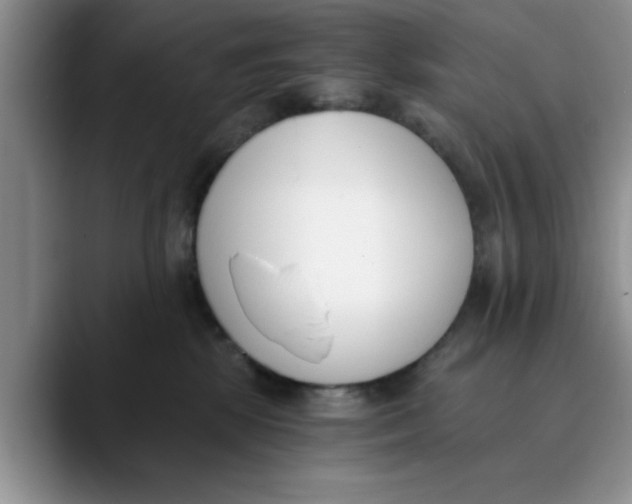 X0000089830281200707191831