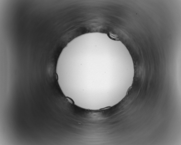 X0000089830283200707191831