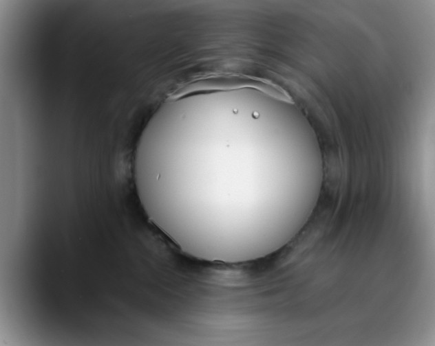 X0000089830284200707191831