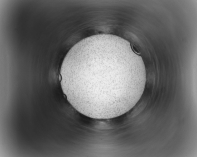 X0000089830285200707191831