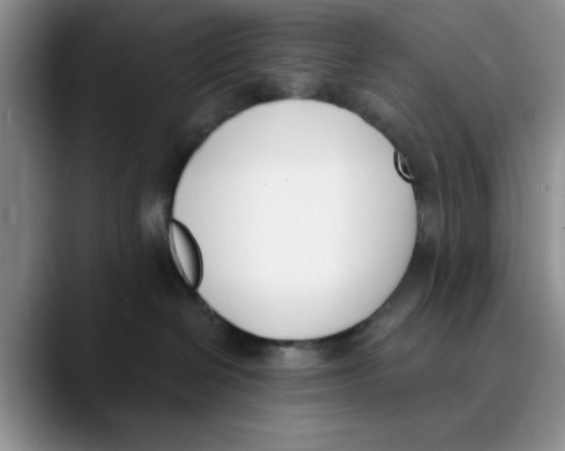 X0000089830286200707191831