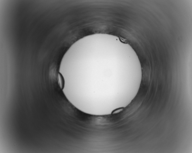 X0000089830287200707191831