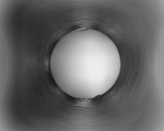 X0000089830288200707191831