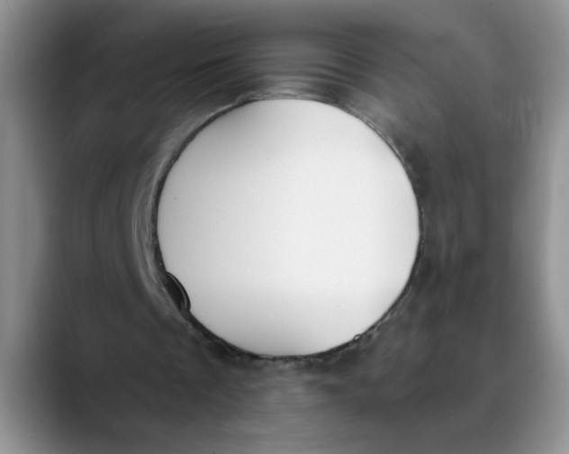 X0000089830289200707191831