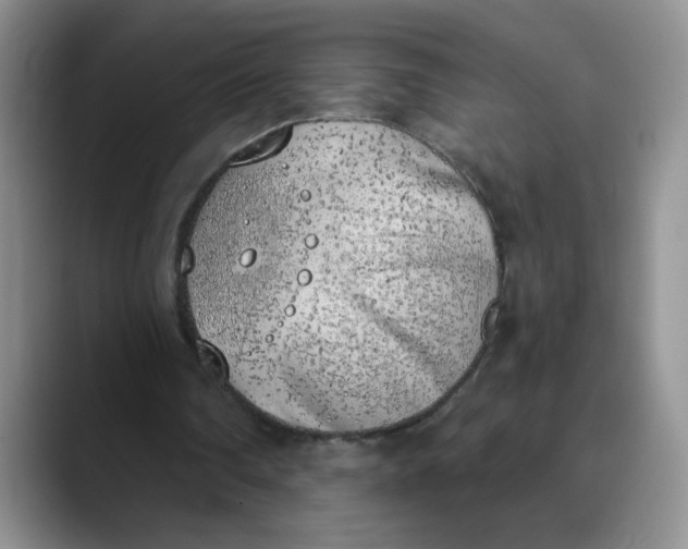 X0000089830290200707191831