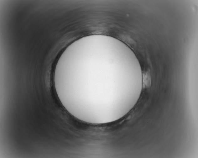 X0000089830291200707191831