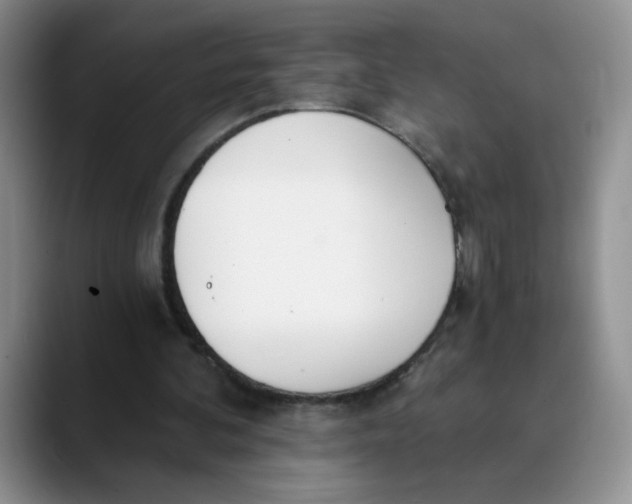 X0000089830292200707191831