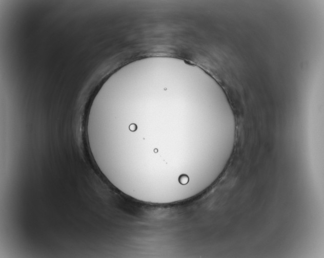 X0000089830293200707191831