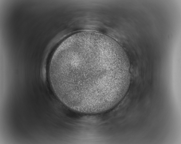 X0000089830294200707191831