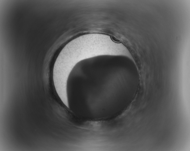 X0000089830295200707191831