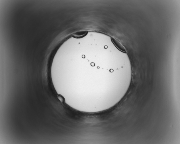 X0000089830296200707191831