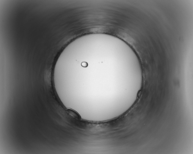 X0000089830297200707191831