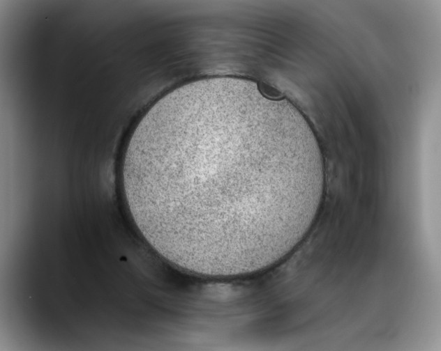 X0000089830298200707191831