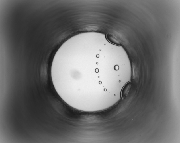 X0000089830300200707191831