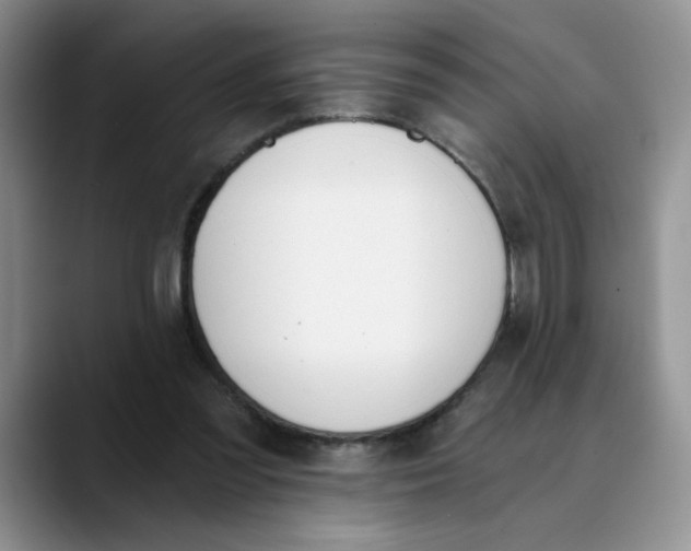 X0000089830301200707191831